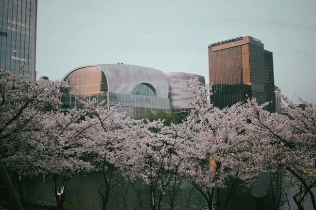 Seoul