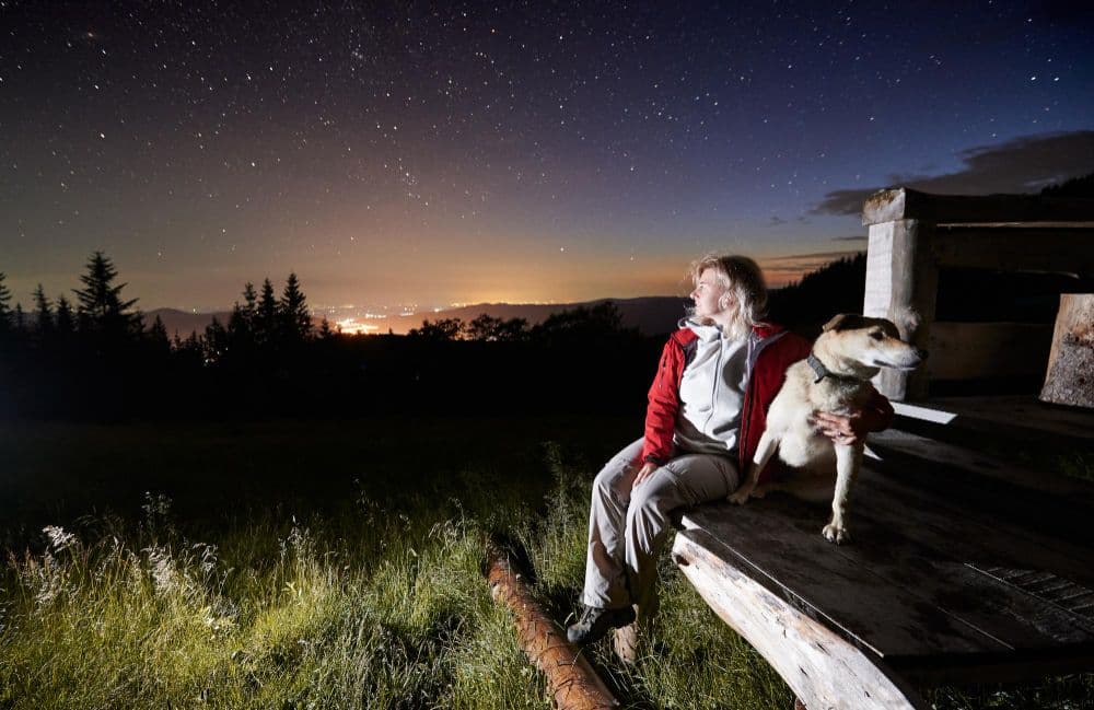 Kayaking and Stargazing at the Backwaters of Kabini This May