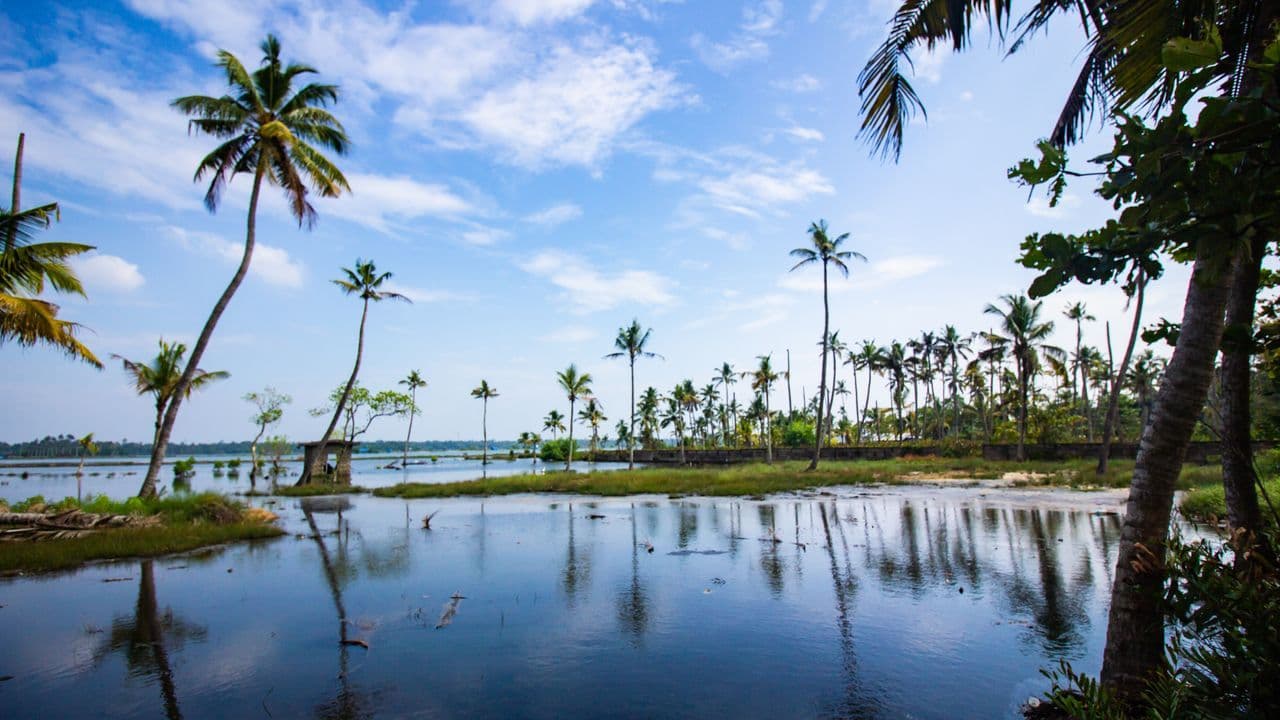 Kerala Trip Guide: Munnar, Thekkady, Alleppey, and Backwater Experiences